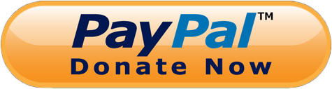 paypal donate button copy